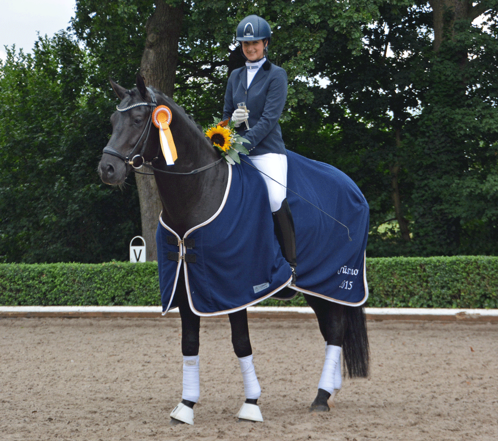 Arango Sporthengste Krüsterhof